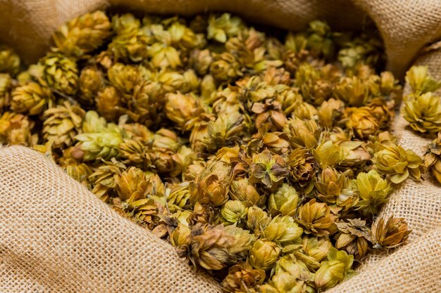 Gros plan de houblon séché dans un sac pour le brassage de la bière