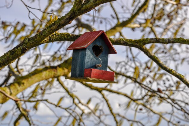 Gros plan d'une jolie maison d'oiseau en rouge et bleu avec un coeur suspendu à un arbre