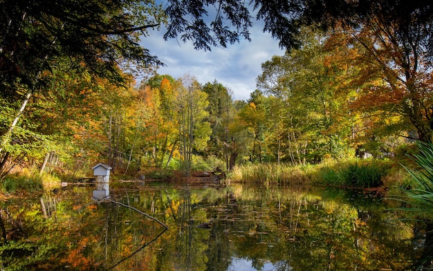 Photo gratuite gros plan sur le lac muskoka en ontario, canada