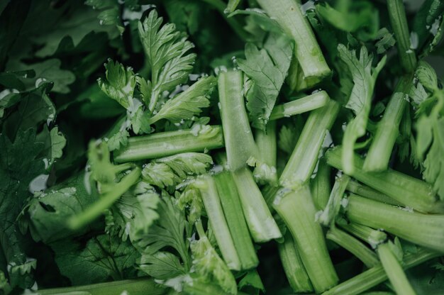 Gros plan de légumes verts