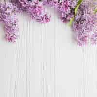 Photo gratuite gros plan, lilas, blanc