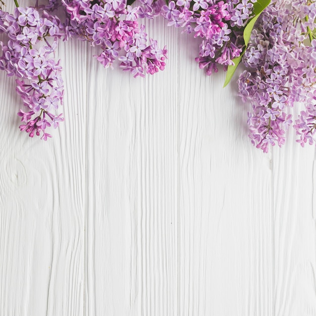 Gros plan, lilas, blanc