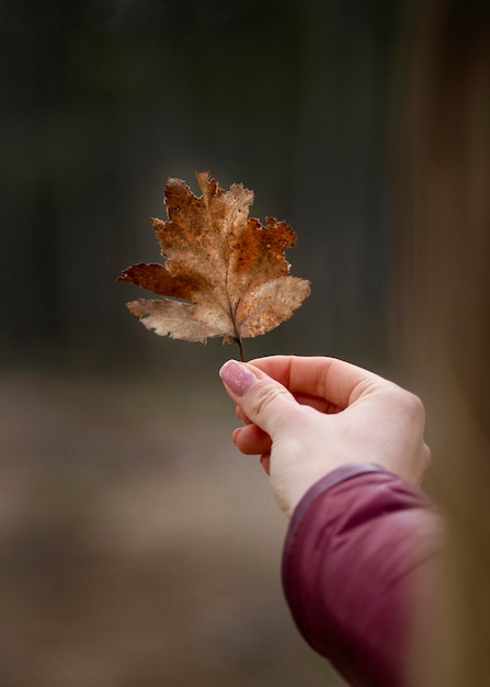 Gros plan main avec feuille d'automne