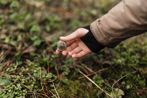 Gros plan main tenant la coquille d'escargot