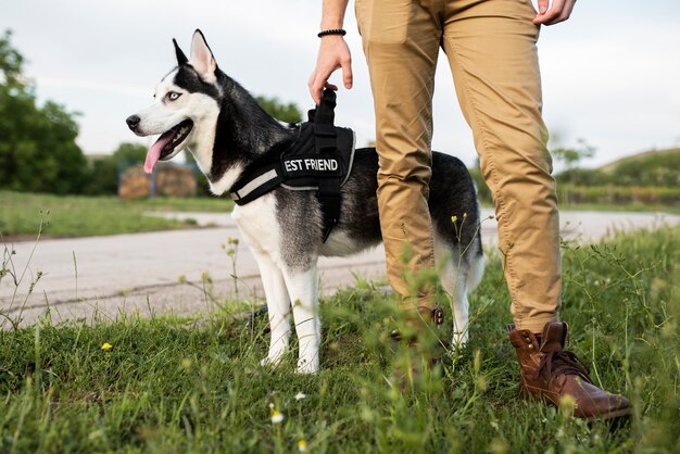 Gros plan main tenant la laisse du chien