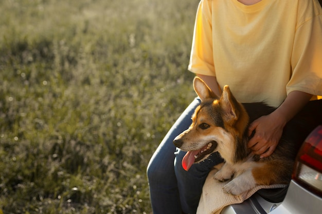 Photo gratuite gros plan mains caresser chien