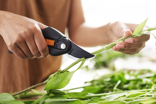 Gros plan des mains de fleuriste femelle couper les tiges des fleurs.