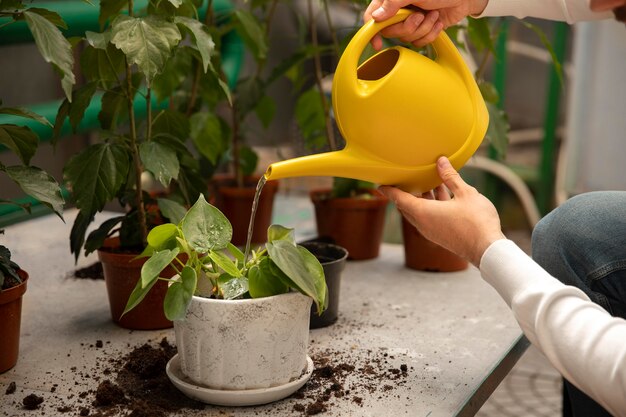 Gros plan des mains tenant un arrosoir