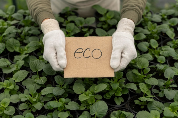 Gros plan des mains tenant un carton avec un message