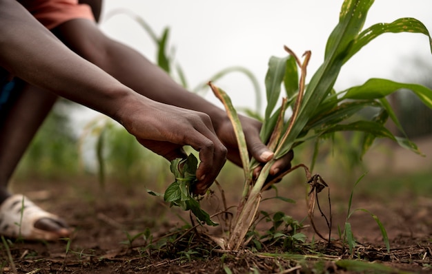 Gros plan sur les mains tenant des plantes