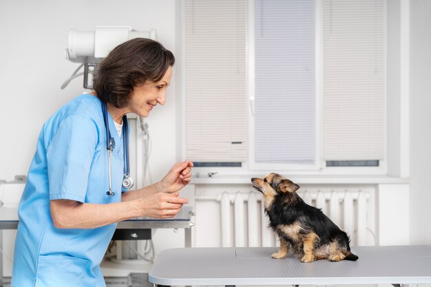 Gros plan sur un médecin vétérinaire prenant soin d'un animal de compagnie