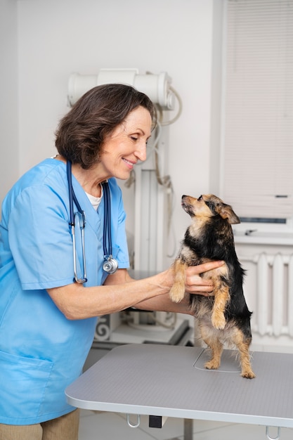 Gros plan sur un médecin vétérinaire prenant soin d'un animal de compagnie