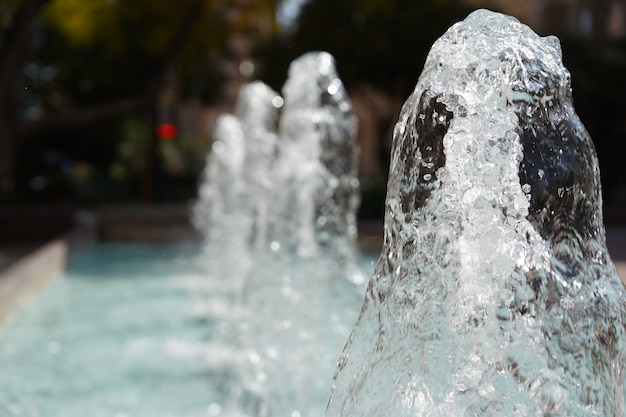 Gros plan de mise au point sélective d'une fontaine d'eau avec des arbres sur le