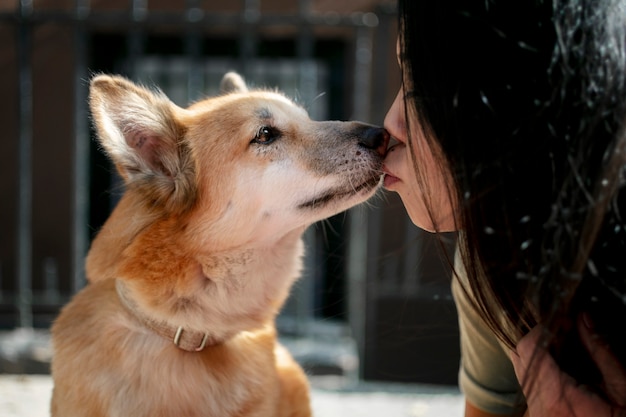 Gros plan sur le mode de vie des animaux de compagnie