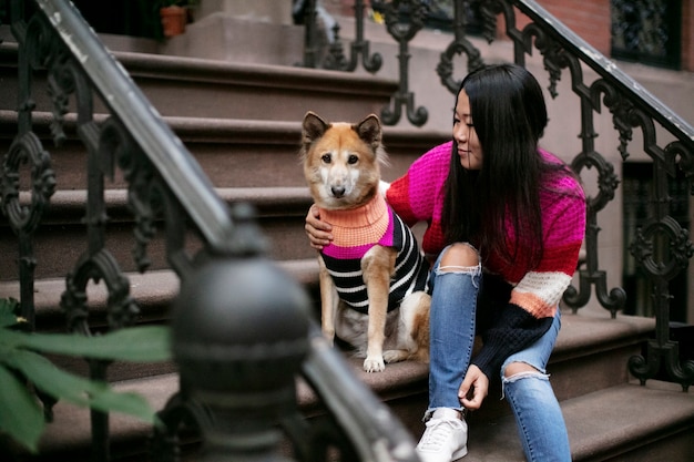 Gros plan sur le mode de vie des animaux de compagnie