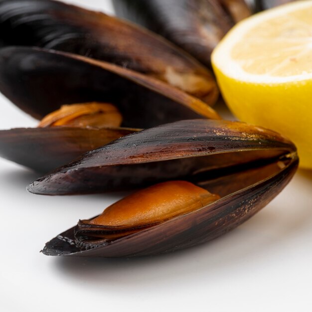 Gros plan des moules cuites