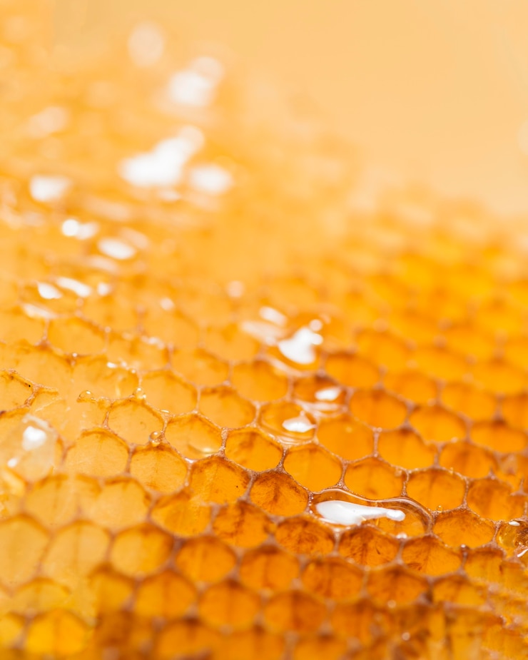 Photo gratuit gros plan de nid d'abeille
