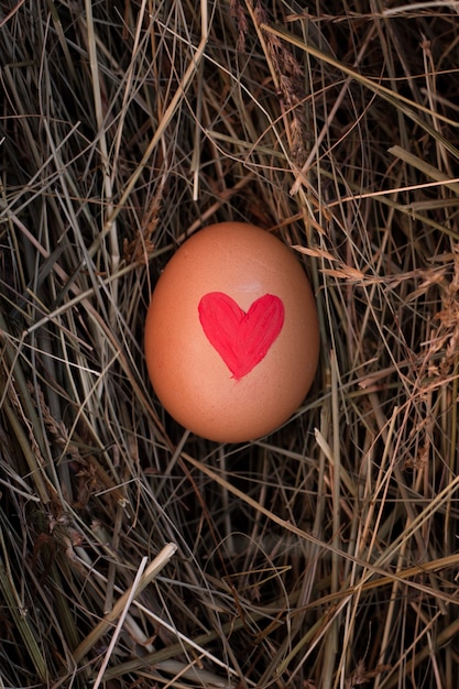 Gros plan, oeuf pâques, à, coeur, peint