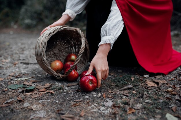 Gros plan sur le panier du petit chaperon rouge