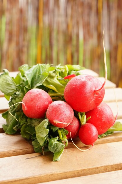 Gros plan d'un paquet de radis rouge frais sur une surface en bois