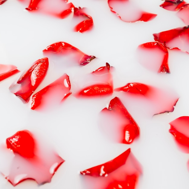 Gros plan, de, pétales rouges, fleur, flotter, sur, lait