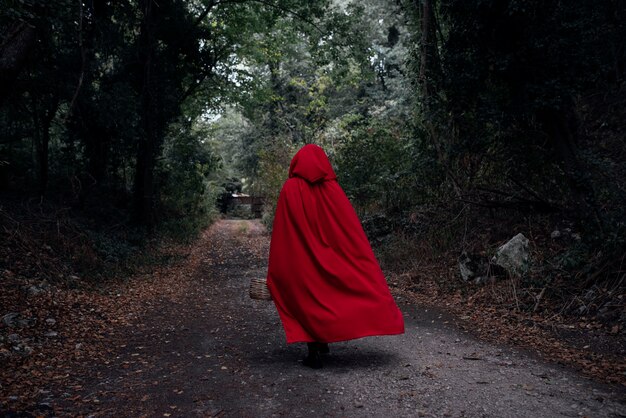 Gros plan sur le petit chaperon rouge