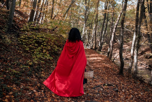 Photo gratuite gros plan sur le petit chaperon rouge