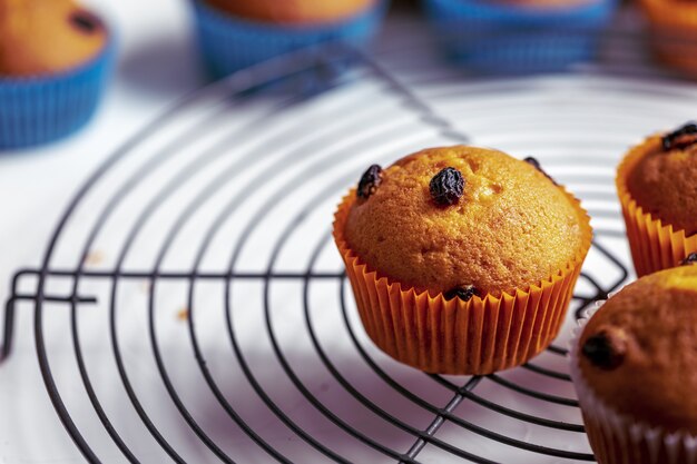 Gros plan de petits gâteaux avec des papiers orange et bleu sur fond blanc