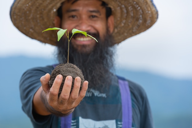 Gros plan photo de la main du jardinier tenant le jeune arbre de la plante