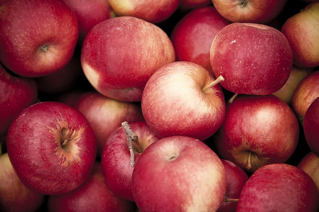 Gros plan de pommes rouges les unes sur les autres