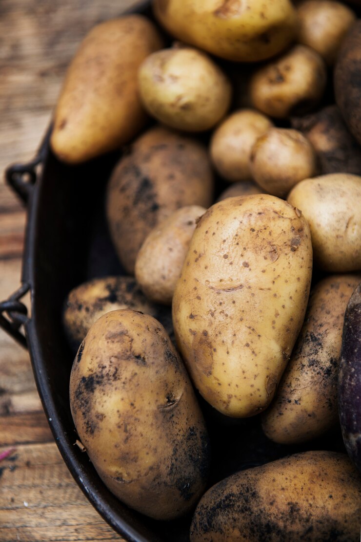 Photo gratuit gros plan de pommes de terre biologiques fraîches