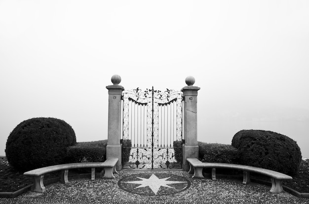 Photo gratuite gros plan d'une porte en fer forgé avec haies avec brouillard en noir et blanc