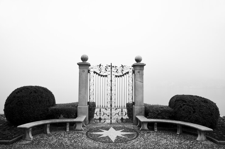 Photo gratuit gros plan d'une porte en fer forgé avec haies avec brouillard en noir et blanc