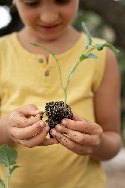 Gros plan sur le processus de repiquage des plantes