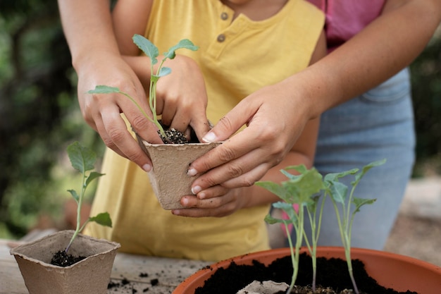 Photo gratuite gros plan sur le processus de repiquage des plantes