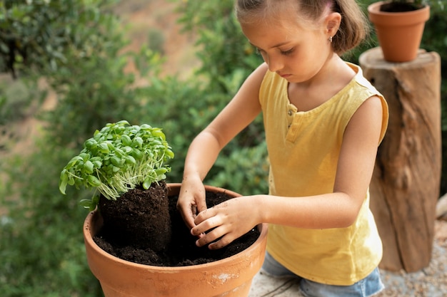 Photo gratuite gros plan sur le processus de repiquage des plantes