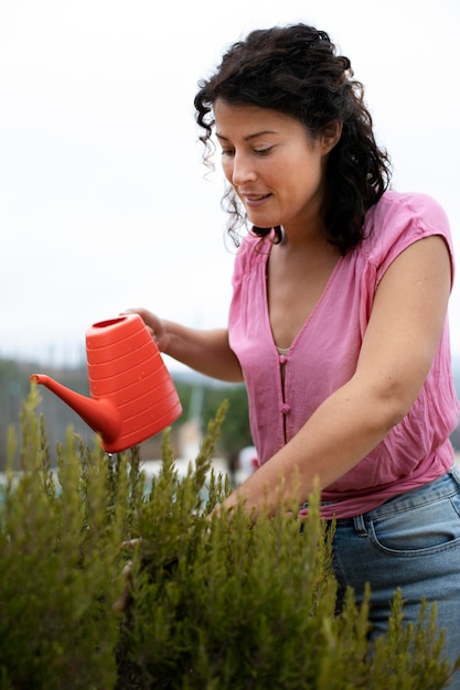 Gros plan sur le processus de repiquage des plantes