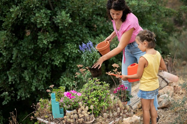 Gros plan sur le processus de repiquage des plantes