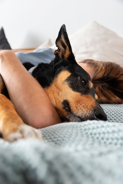 Gros plan propriétaire et chien au lit