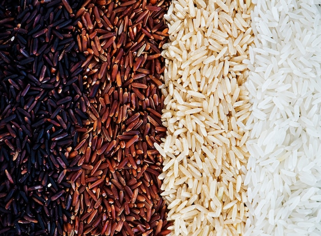Photo gratuite gros plan de riz mélangé