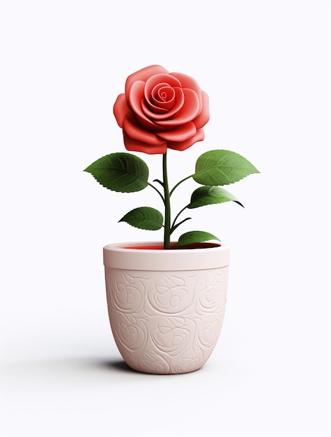 Gros plan sur une rose en pot