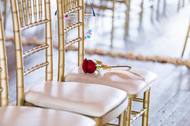 Photo gratuite gros plan d'une rose rouge sur une chaise dorée et blanche dans une salle de mariage