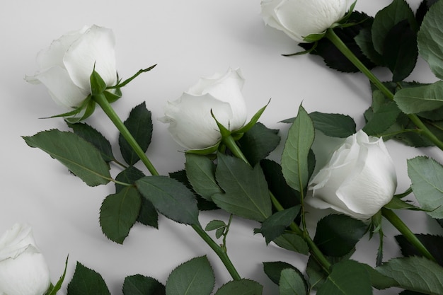 Photo gratuite gros plan sur des roses blanches dans un vase