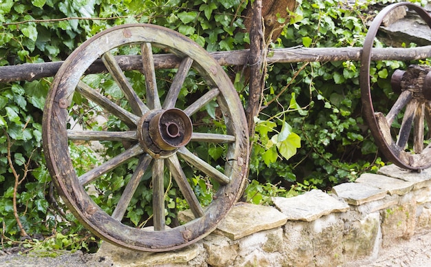 Gros plan de roues en bois sur une bordure en pierre devant les plantes vertes