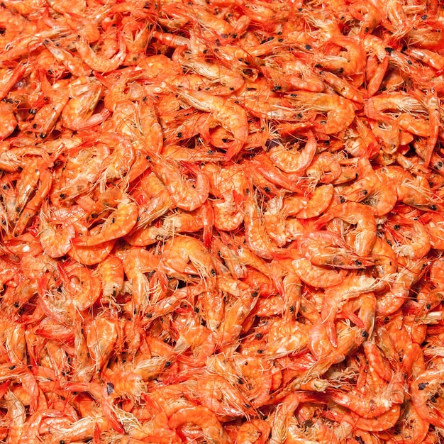Gros plan de savoureux tas de crevettes à la recherche