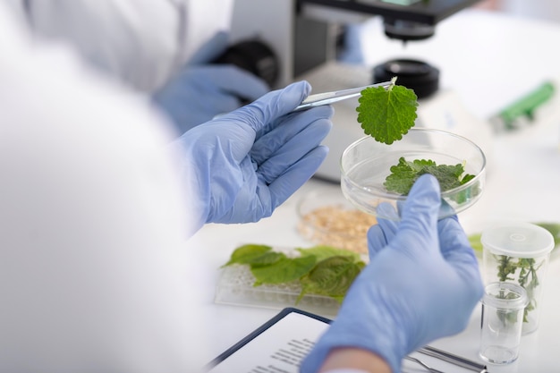 Photo gratuite gros plan scientifique tenant une boîte de pétri