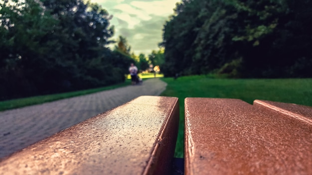 Gros plan sélectif tourné d'un banc brun près d'un champ d'herbe et d'arbres dans un parc