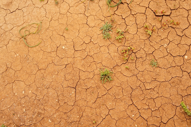 Photo gratuit gros plan d'une surface du sol fissurée