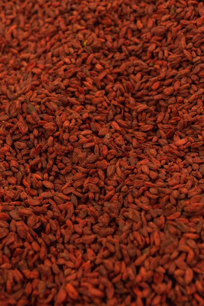 Gros plan de la texture du cacao