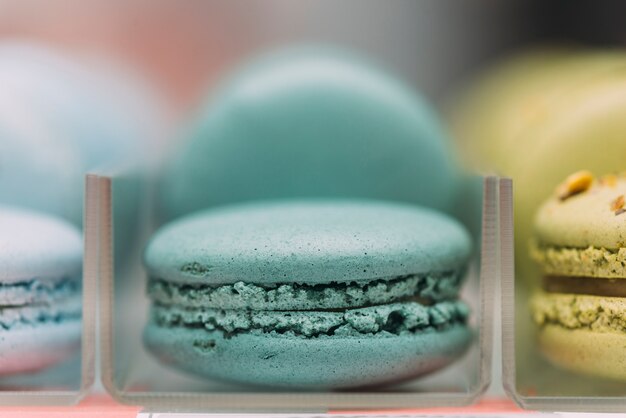 Gros plan, torquoise, macaron